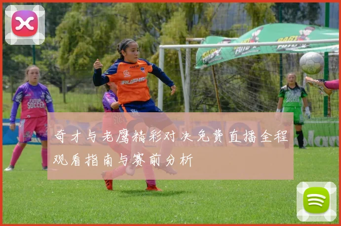 奇才与老鹰精彩对决免费直播全程观看指南与赛前分析