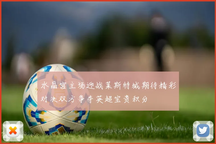 水晶宫主场迎战莱斯特城期待精彩对决双方争夺英超宝贵积分