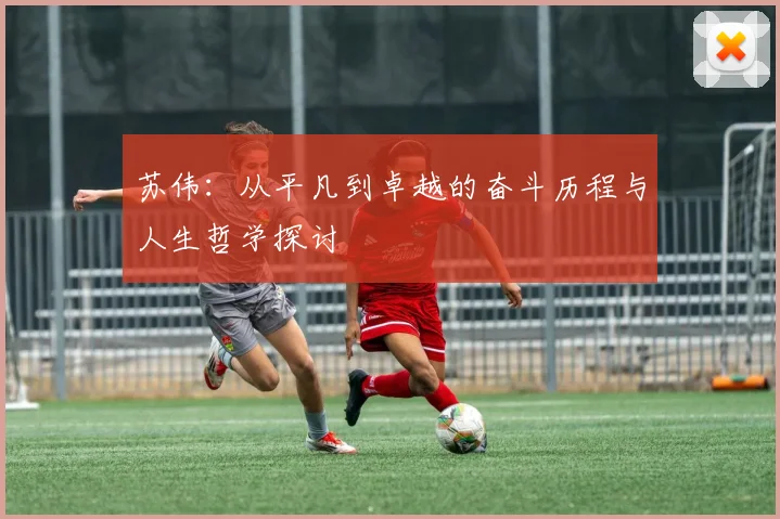 苏伟：从平凡到卓越的奋斗历程与人生哲学探讨