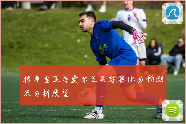 格鲁吉亚与爱尔兰足球赛比分预测及分析展望