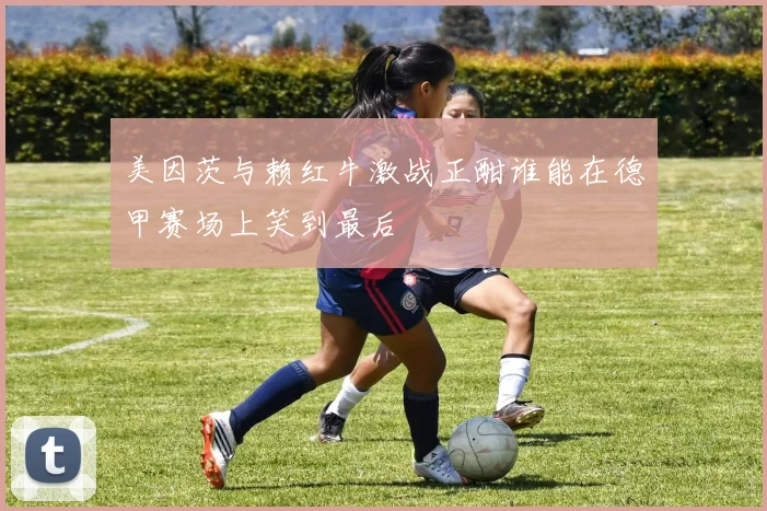 美因茨与赖红牛激战正酣谁能在德甲赛场上笑到最后