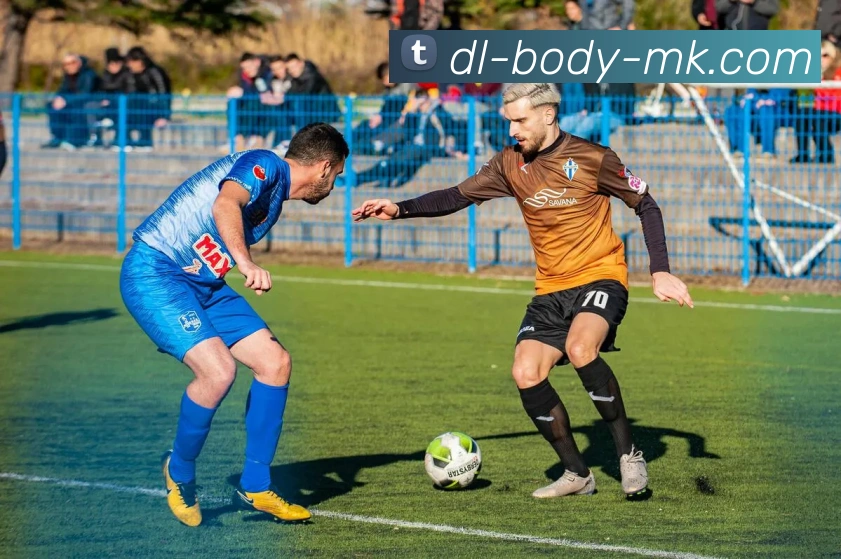 MK体育服务体系